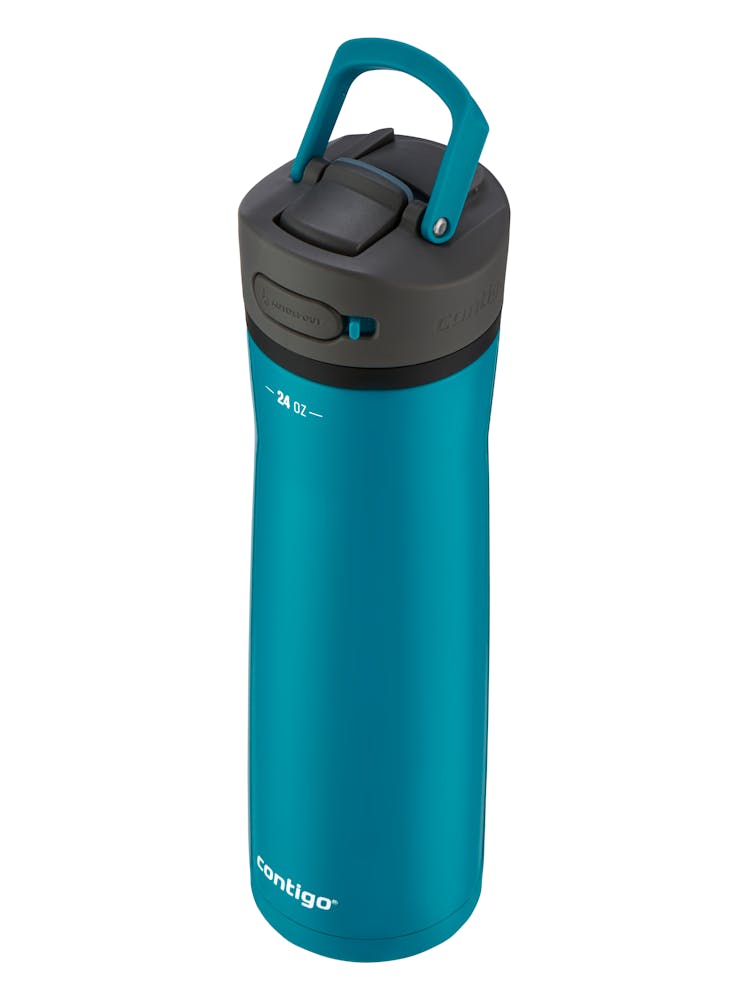 Contigo® Ashland Chill 2.0 Stainless Steel Water Bottle with AUTOSPOUT® Lid, 24oz - Licorice