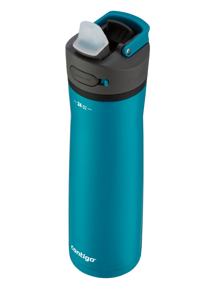 Contigo® Ashland Chill 2.0 Stainless Steel Water Bottle with AUTOSPOUT® Lid, 24oz - Licorice